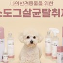 비엔메디 이미지