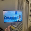 스테이모네 이미지