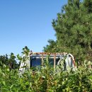 강산농장 이미지