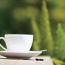 일 라고 이미지