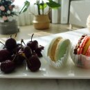 위드마카롱(with마카롱) 이미지