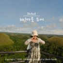 나무아이라이브홀 | 보홀 체크아웃 투어 추천 초콜릿힐 반딧불투어로 꽉 채운 마지막 날(놀다보홀 이용 후기)