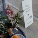 해법독서논술교습소 이미지