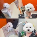 그룸 앤 먼치 이미지