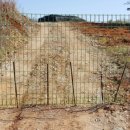 십년농장 이미지