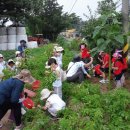 이리중앙초등학교병설유치원 이미지