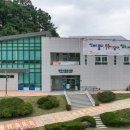 우선비