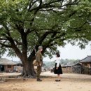 환희영상기획 노컷뉴스