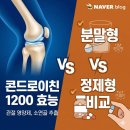 호운슈퍼 | 콘드로이친 1200 효능, 관절 영양제 소연골 분말형 vs 정제형 비교
