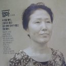 아들은 엄마의 나이를 모른다 이미지