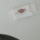 예원안과의원 이미지