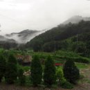 행복한농산물 이미지