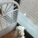 한일동물병원 이미지