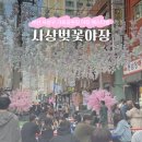 세븐일레븐 부산사상삼락점 | 부산 사상 벚꽃야장 축제 사상역 맛집 추천 삼락생태공원 벚꽃