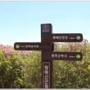 비단이불