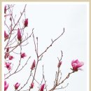 담양 반딧불 이미지