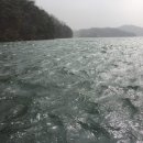 꼴미목장 이미지