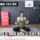 운동의 계절 이미지