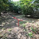 동면초등학교 이미지