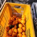 신례2리마을회관 이미지