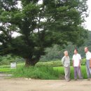 소여1리 이미지