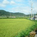 신지마을회관 이미지