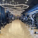 브라운 휘트니스 이미지