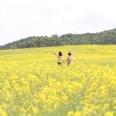 진안축산 이미지
