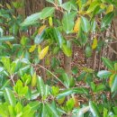 산호수농장 이미지