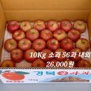 옛날 부사 사과(후지 부사) 판매합니다. 10Kg 26,000원~ 이미지