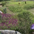 복룡축산 이미지