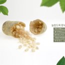 기주메디칼