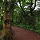 치유의숲 공중화장실 이미지