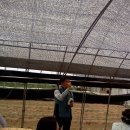 임영택농장 이미지