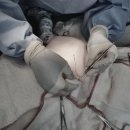 나은동물병원 이미지