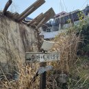 송가네 바다별장 이미지