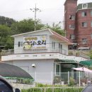 금테두른닭&오리