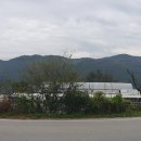 금가능이옥 이미지