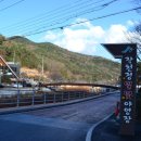 별빛야영장 이미지