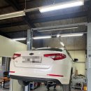 라임모터스 이미지