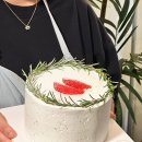 돌렘 네이버블로그