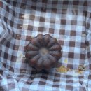 집의 기록 | 제주 디저트 추천 집의 기록 상점 평일 웨이팅 후기 메뉴 추천