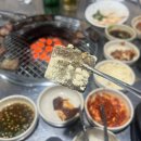 마포주먹고기고척돔