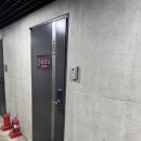 멍타냥 강남 | 강남 방배 퍼스널컬러 추천 세라 스튜디오, 골격 진단까지 한 번에 받은 후기