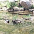 청계천로 이미지