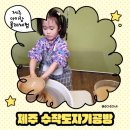 도예(손작업과 물레성형) | 제주 수작도자기공방 후기｜아이랑 물레·손작업 모두 체험한 원데이 도자기 클래스