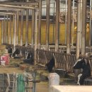 화목목장 이미지