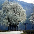 남한강자전거길 21 이미지