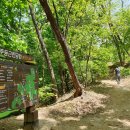 안성맞춤가족공원 이미지