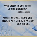 # 잘난체 하지 말고 - 잠언 30장, 교만의 덫 이미지